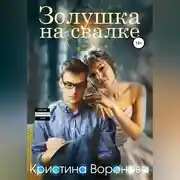 Постер книги Золушка на свалке