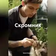 Постер книги Скромник