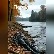 Постер книги Параллель