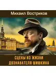 Михаил Востриков - Сцены из жизни дознавателя Шишкина