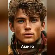 Постер книги Амиго
