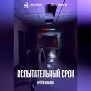 Постер книги Испытательный срок