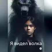 Постер книги Я видел волка
