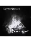 Харуки Мураками - Сжечь сарай