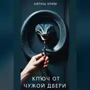 Постер книги Ключ от чужой двери