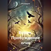 Постер книги Ворон: Пробуждение огня