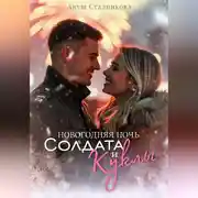 Постер книги Новогодняя ночь Солдата и Куклы