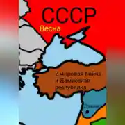 Постер книги 2 мировая война и Дамасска Республика