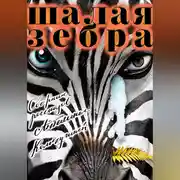 Постер книги Шалая зебра