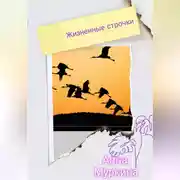 Постер книги Жизненные строчки