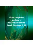 Николай Морозов - Практикум по работе с приложением MS Excel. Задания 7_12