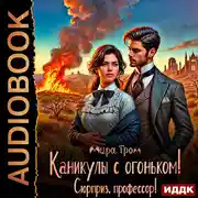 Постер книги Каникулы с огоньком! Сюрприз, профессор!