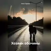 Постер книги Хозяин обочины