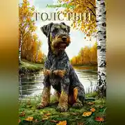 Постер книги Толстый