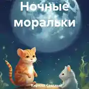 Постер книги Ночные моральки