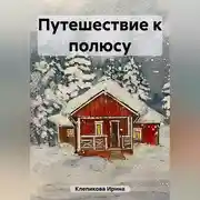 Постер книги Путешествие к полюсу