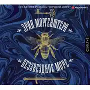 Постер книги Беззвездное море