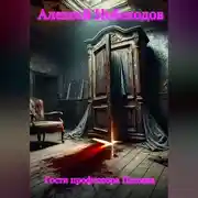 Постер книги Гости профессора Панина