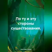 Постер книги По ту и эту стороны существования