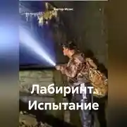Постер книги ЛАБИРИНТ. ИСПЫТАНИЕ