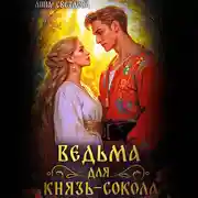 Постер книги Ведьма для князь-сокола
