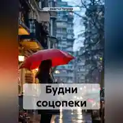 Постер книги Будни соцопеки