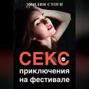 Постер книги Секс-приключение на фестивале