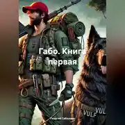 Постер книги ГАБО, книга первая