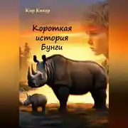 Постер книги Короткая история Бунги