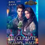 Постер книги Не сердите ведьму, маги!