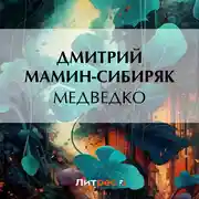 Постер книги Медведко