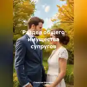 Постер книги Раздел общего имущества супругов.