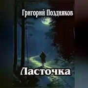 Постер книги Ласточка