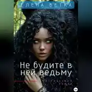Постер книги Не будите в ней ведьму.