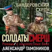 Постер книги Бандеровский схрон