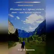 Постер книги Поэтому всё происходит так – как происходит