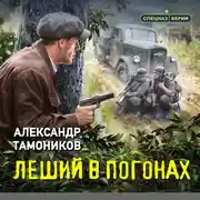 Постер книги Леший в погонах