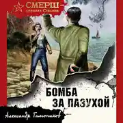 Постер книги Бомба за пазухой