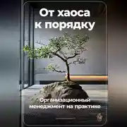 Постер книги От хаоса к порядку: Организационный менеджмент на практике