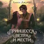 Постер книги Принцесса ветра и мести