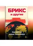 Артем Демиденко - БРИКС и другие: Как растут новые экономики