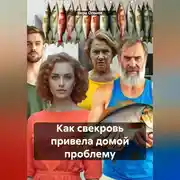 Постер книги Как свекровь привела домой проблему