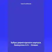 Постер книги Зубры директорского корпуса. Халиуллин А.Х. – Хозяин