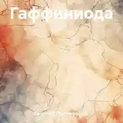 Постер книги Гаффиниода