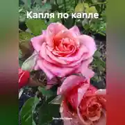 Постер книги Капля по капле