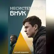 Постер книги Несистемный внук