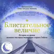 Постер книги Блистательное величие. Истории из жизни великих мастеров медитации старого Тибета