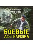 Александр Тамоников - Боевые асы наркома