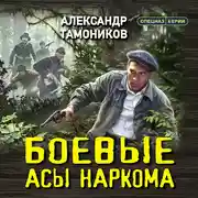 Постер книги Боевые асы наркома