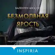 Постер книги Безмолвная ярость